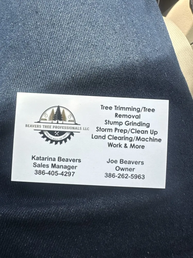 Expert yard cleanup service in Salt Springs, FL - Beavers Tree Professionals