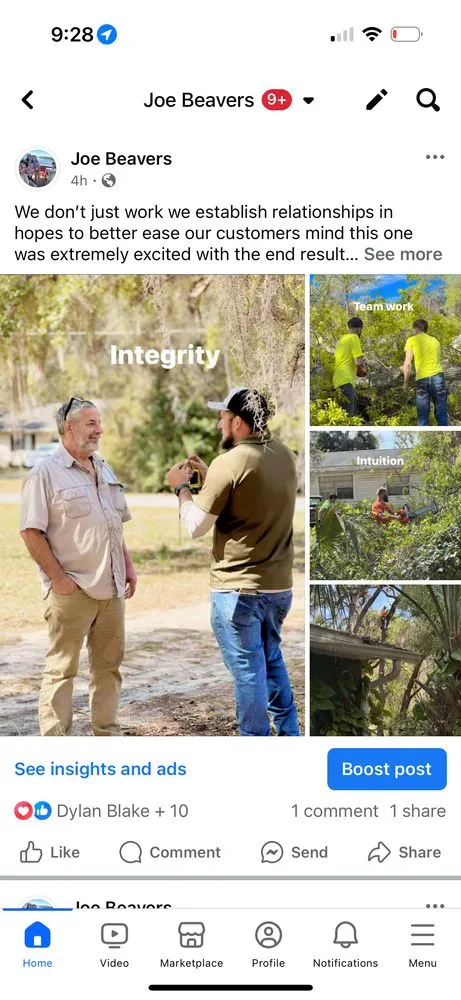 Trusted landscape design for beautiful yards in Salt Springs, FL by Beavers Tree Professionals