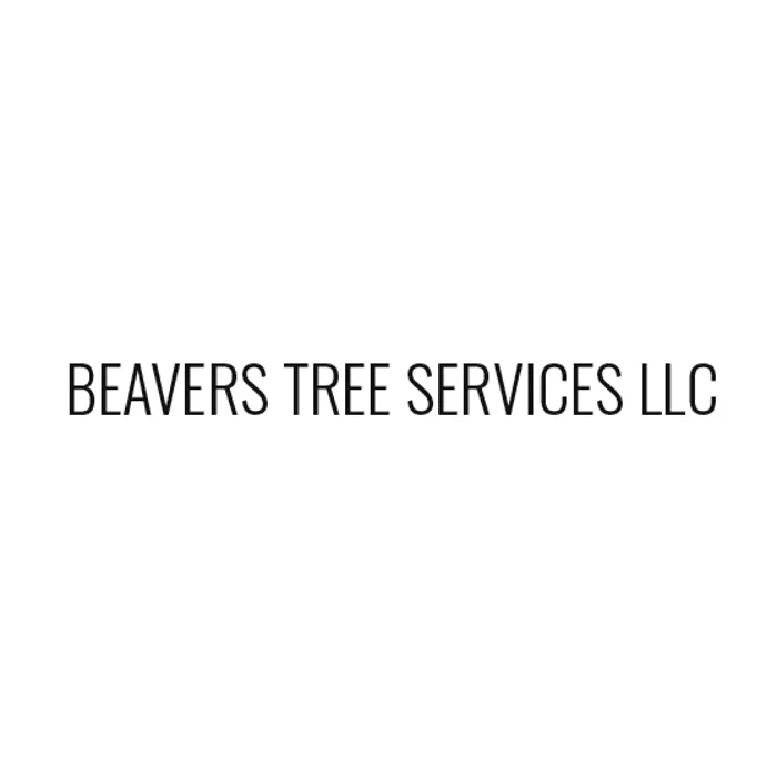 Professional yard cleanup service for homes in Alexandria, VA by Beavers Tree Services