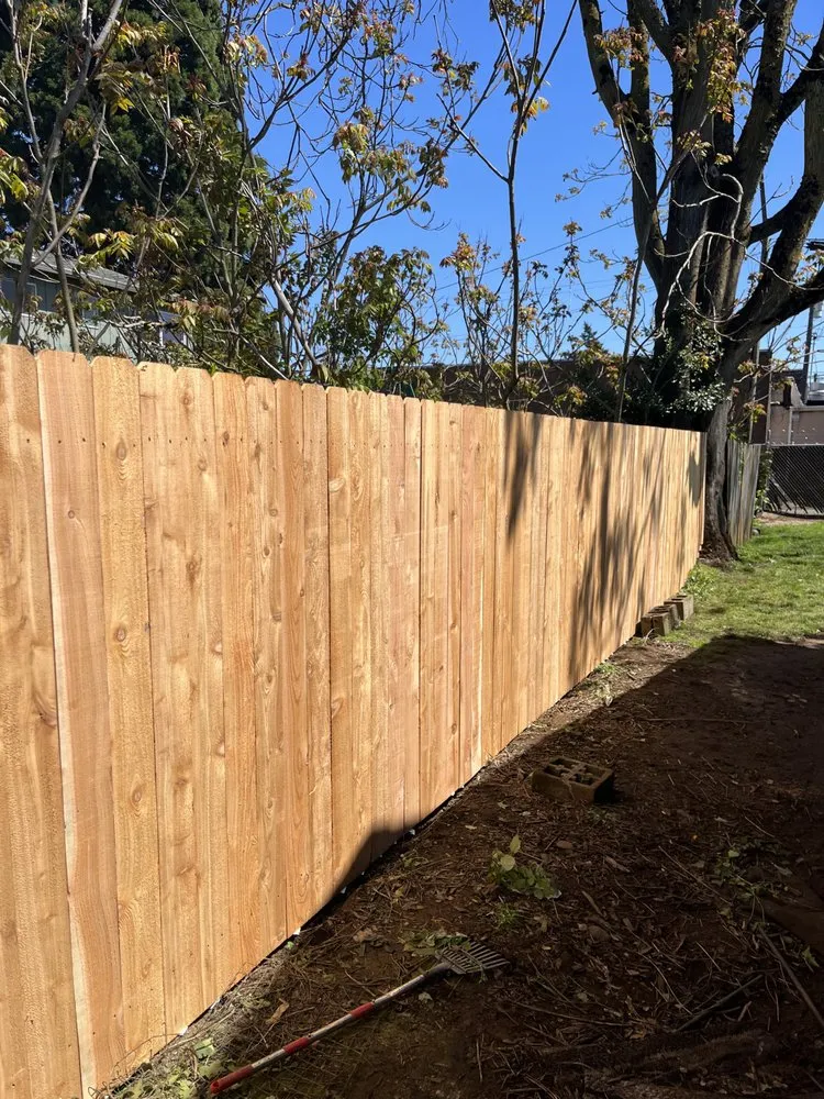 Affordable yard cleanup service experts serving Beaverton, OR - Beaverton Fencing & Landscaping