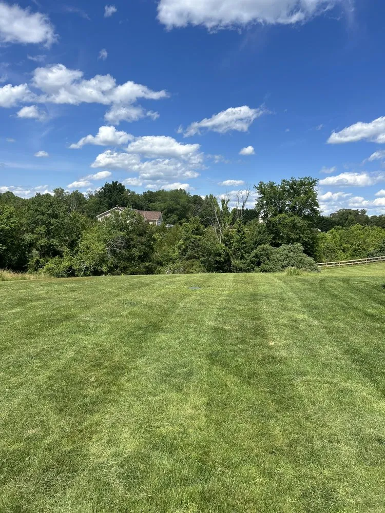 Professional landscape installation in Locust Grove, VA - Beavz Landscaping