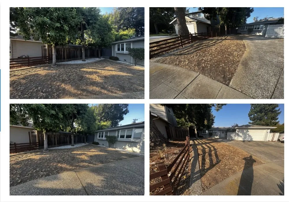 Reliable outdoor landscaping for homes in Los Altos, CA by BeaZee Landscaping Design