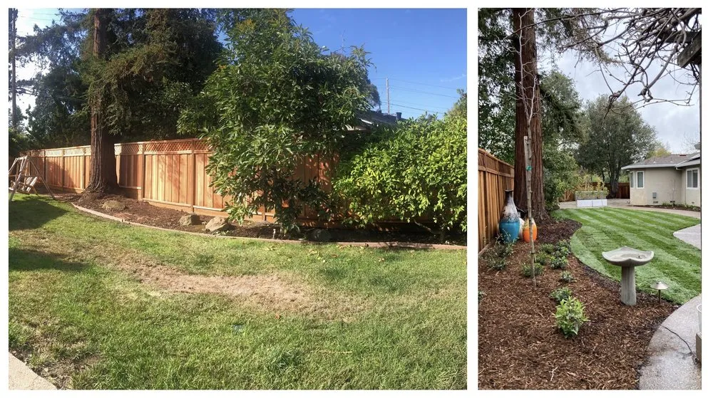 Professional landscaping services in Los Altos, CA by BeaZee Landscaping Design