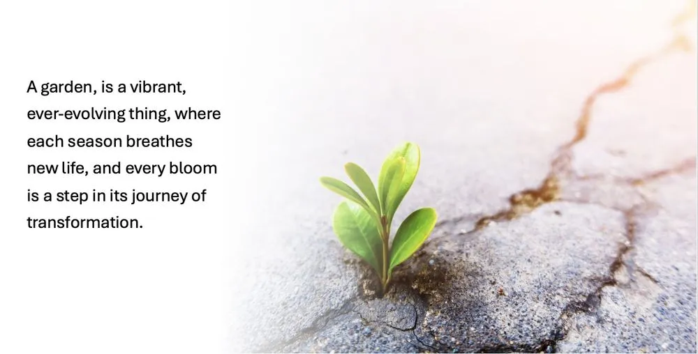 Custom lawn care service experts serving Los Altos, CA - BeaZee Landscaping Design