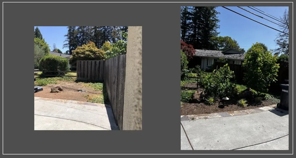 Top-rated outdoor landscaping for year-round maintenance across Los Altos, CA - BeaZee Landscaping Design