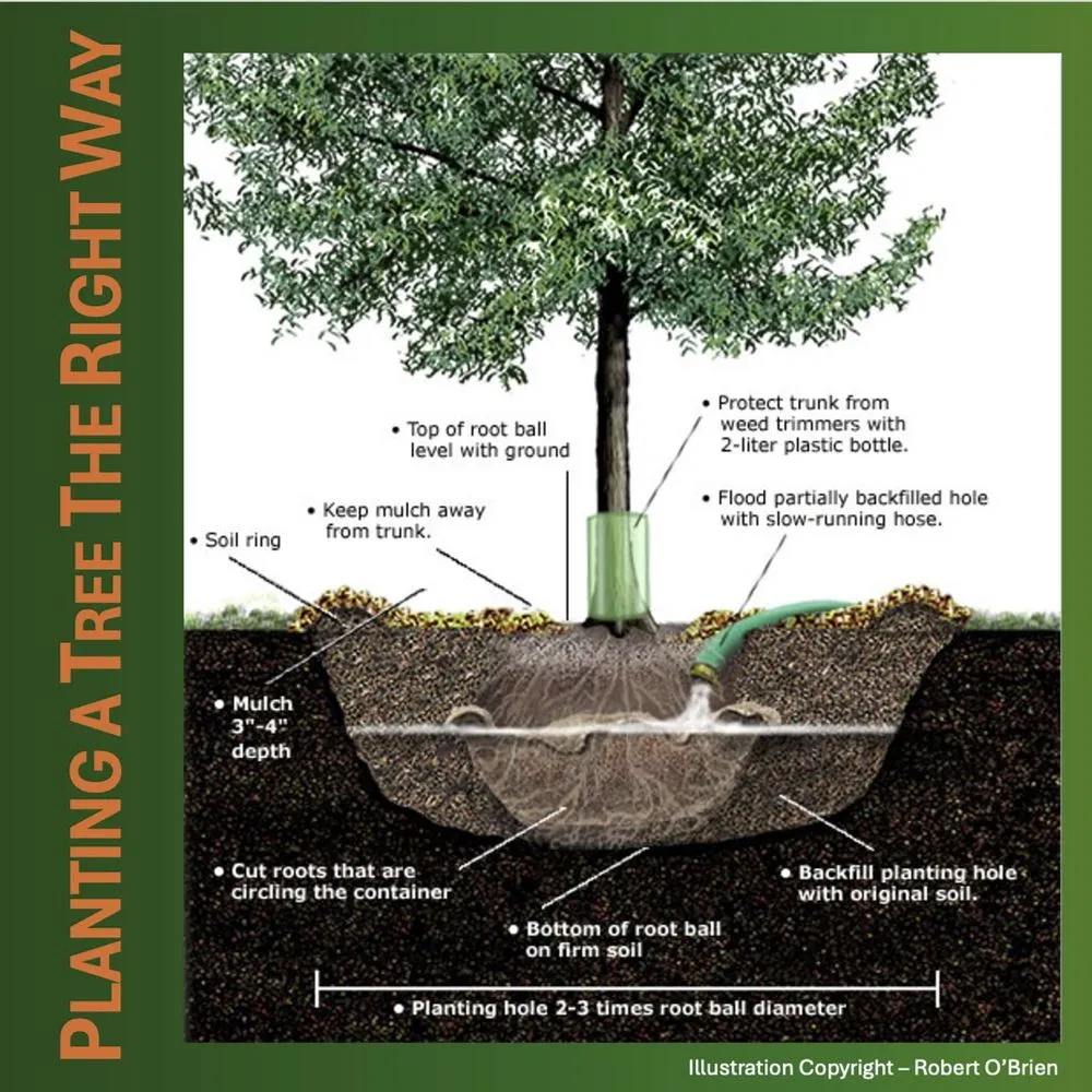 Trusted garden landscaping experts serving Los Altos, CA - BeaZee Landscaping Design