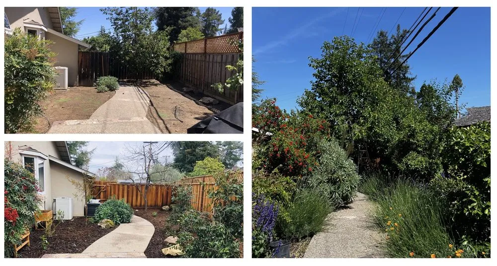 Reliable outdoor landscaping for residential properties across Los Altos, CA - BeaZee Landscaping Design