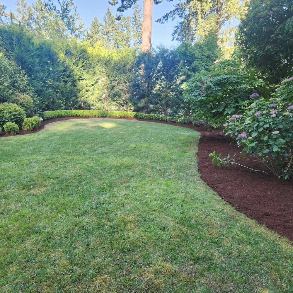 Affordable lawn care service experts serving Damascus, OR - Bebblos Landscaping