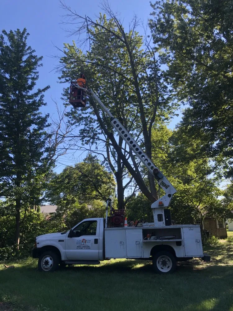 Trusted outdoor landscaping experts serving Foosland, IL - Bebout Tree Service