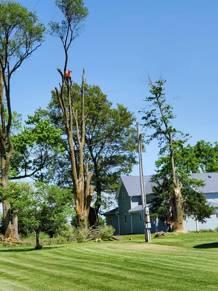 Local landscape design for residential properties across Foosland, IL - Bebout Tree Service