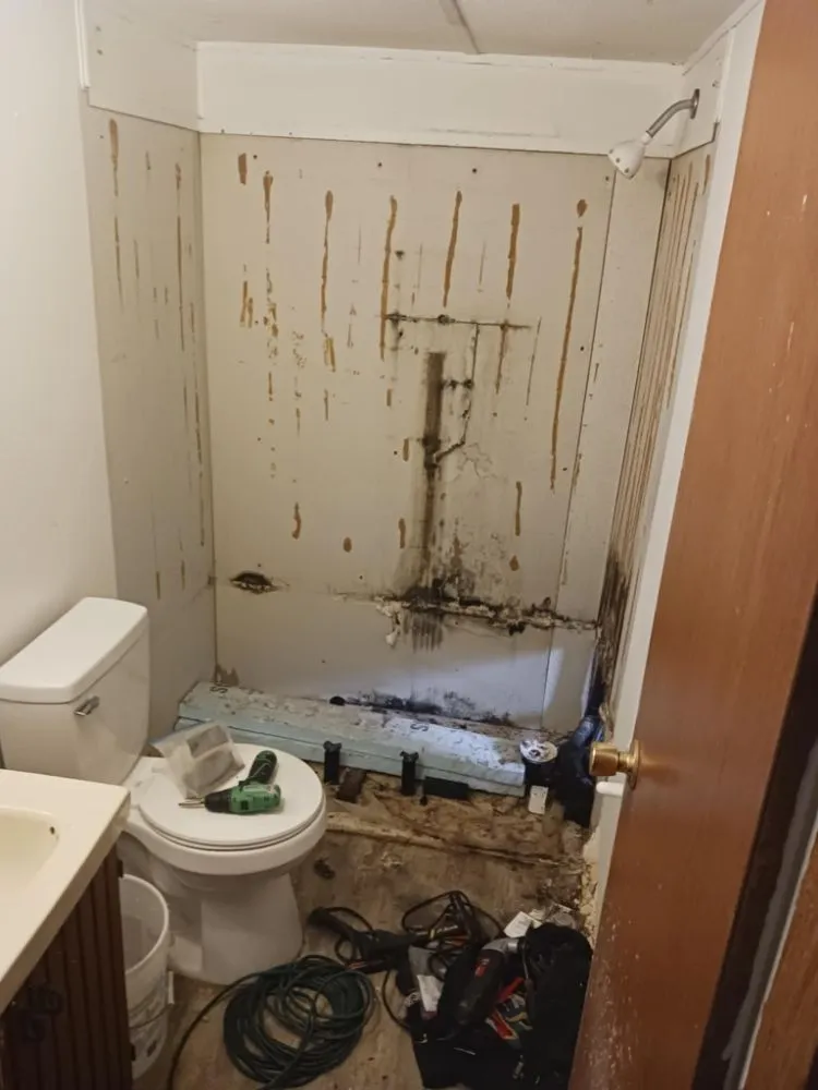 Reliable landscape installation in Clarksville, TN by Becca Can Fix Your Problem