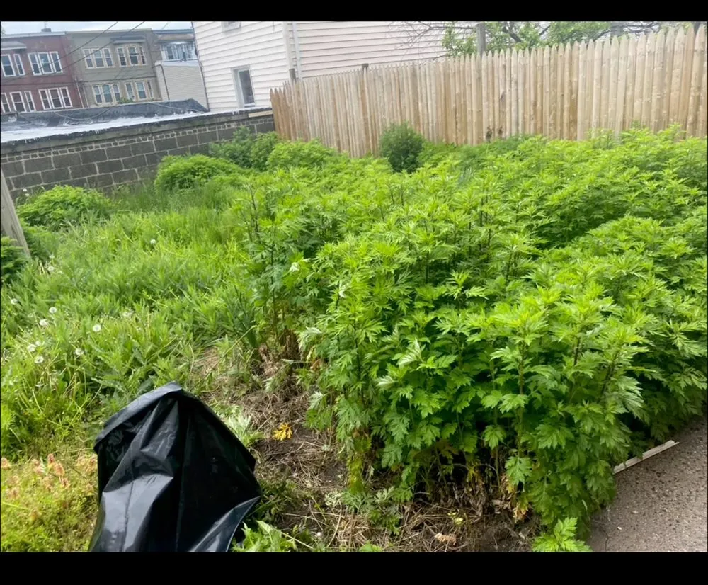 Trusted yard maintenance for homes in Roselle, NJ by Beccan Contracting