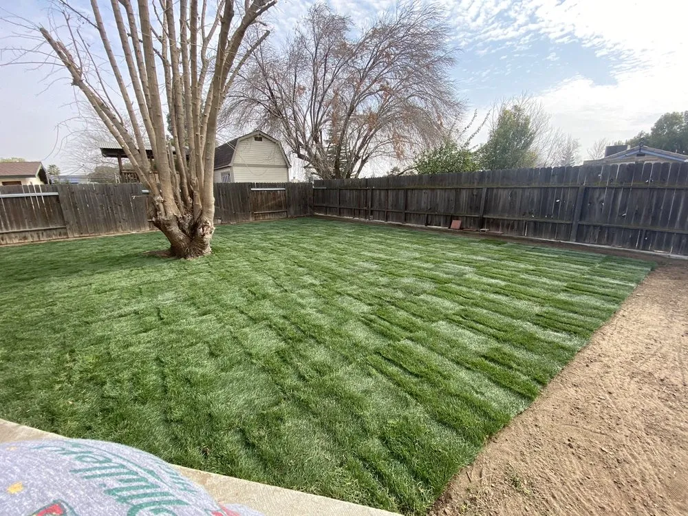 Reliable yard maintenance experts serving Bakersfield, CA - Becerra's Gardening & Landscaping
