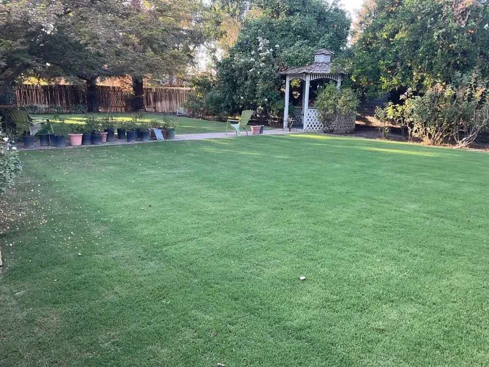 Trusted residential landscaping experts serving Bakersfield, CA - Becerra's Gardening & Landscaping