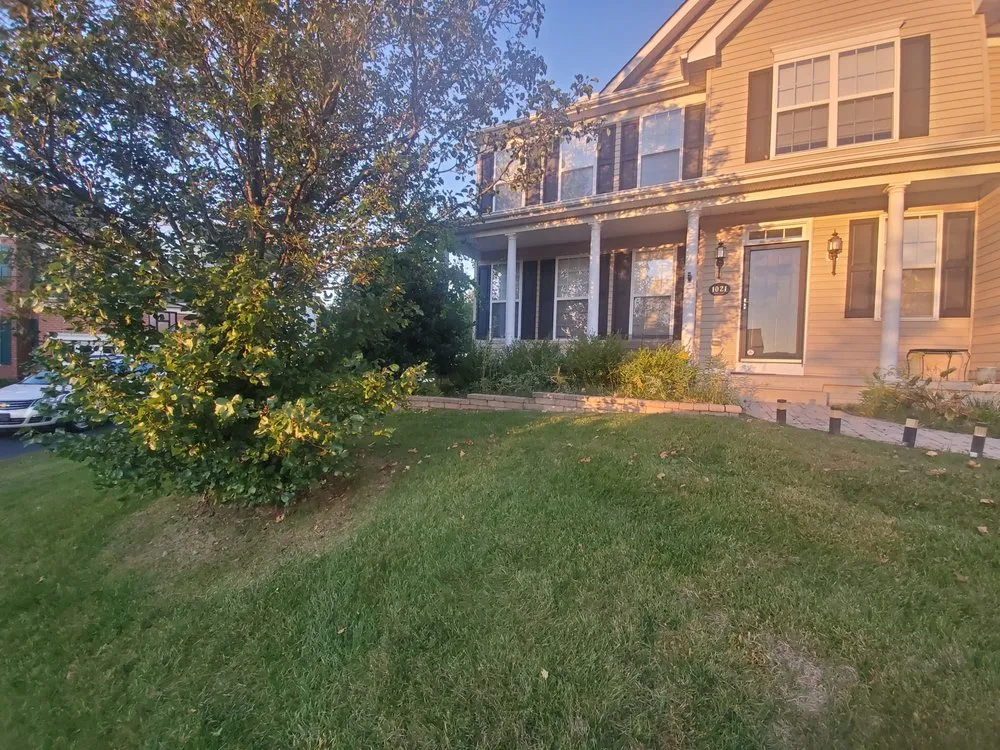 Professional landscape design for outdoor upgrades in Williamsport, MD by Beck and Dan Landscaping