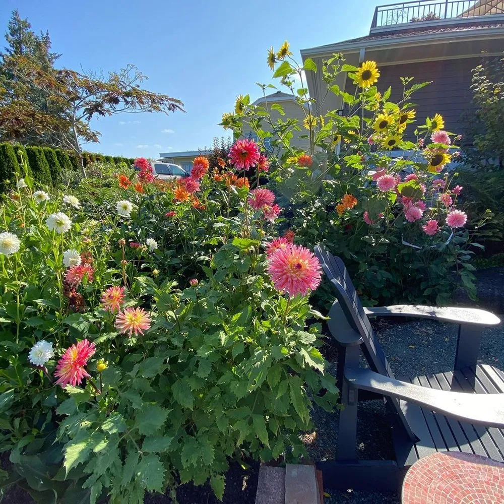 Expert garden landscaping experts serving Lake Stevens, WA - Becker Landscaping & Services