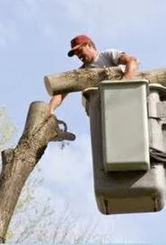 Custom yard maintenance experts serving Bloomington, IL - Becker Tree Service