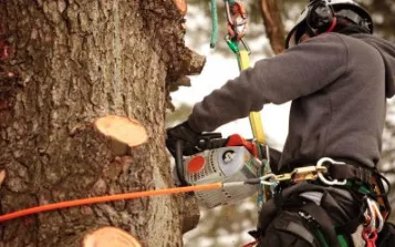 Expert landscape installation in Bloomington, IL by Becker Tree Service