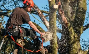 Professional landscaping services in Bloomington, IL - Becker Tree Service