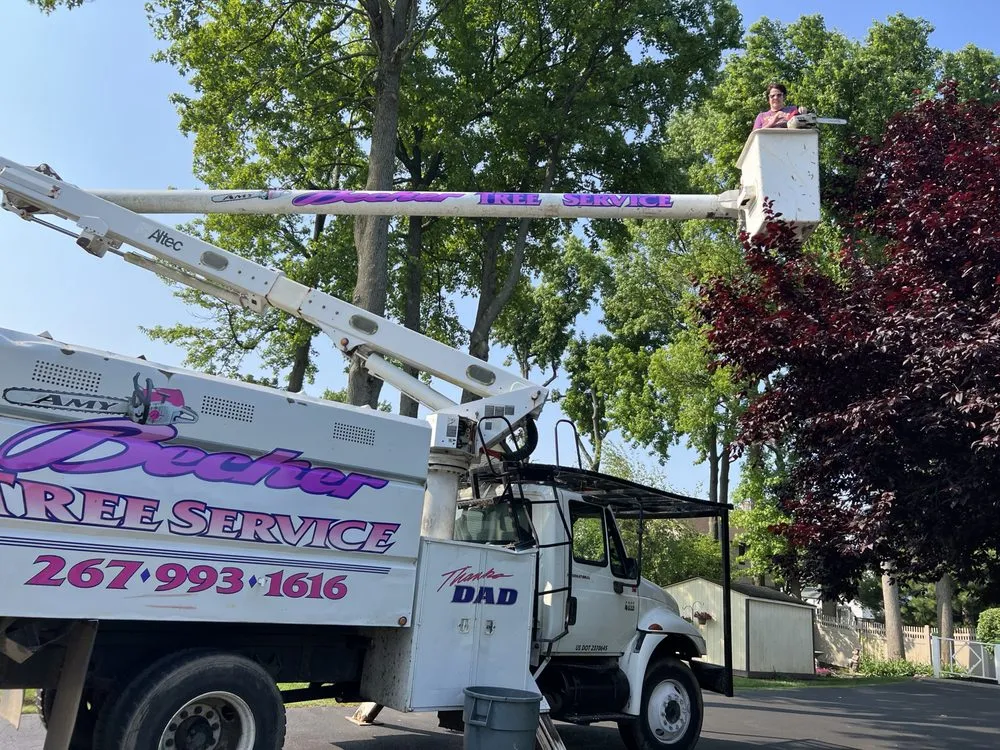 Local lawn care service in Levittown, PA by Becker Tree Service