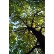 Professional landscape design experts serving Levittown, PA - Becker Tree Service