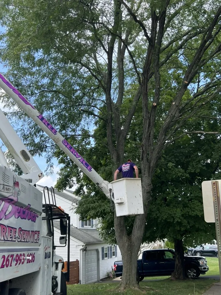 Trusted yard cleanup service for outdoor upgrades in Levittown, PA by Becker Tree Service