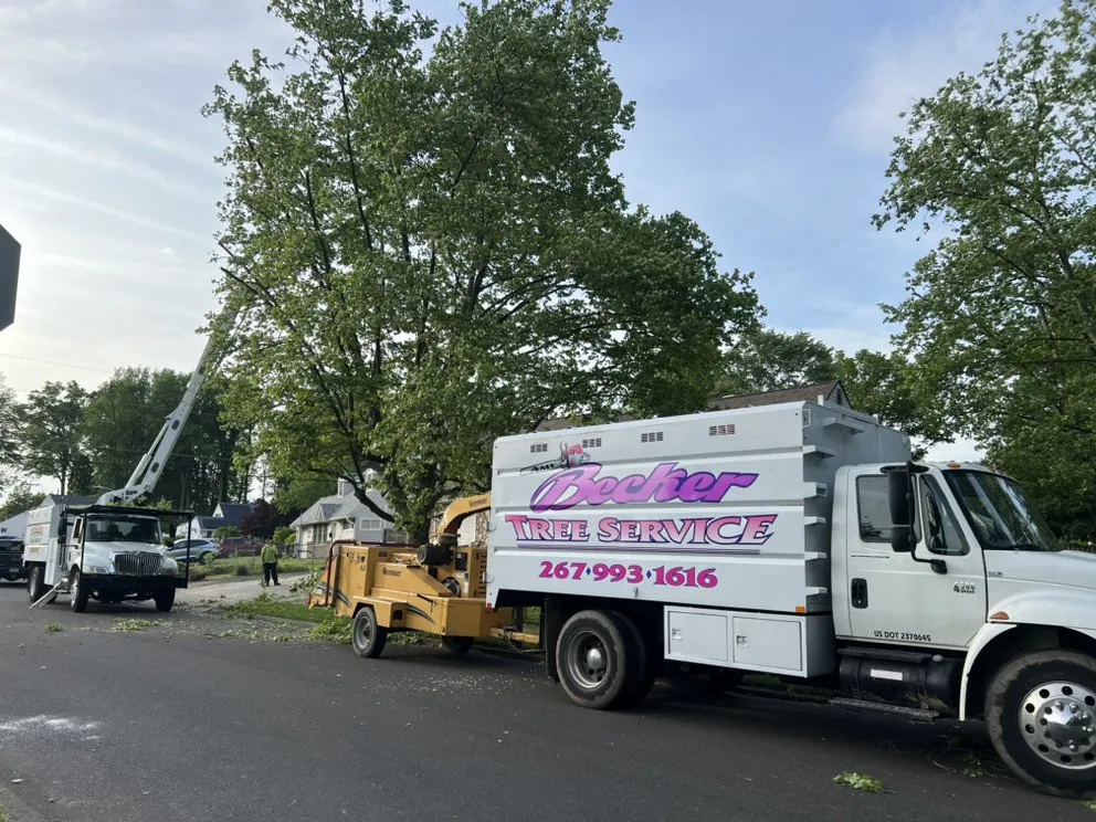 Trusted outdoor landscaping in Levittown, PA - Becker Tree Service