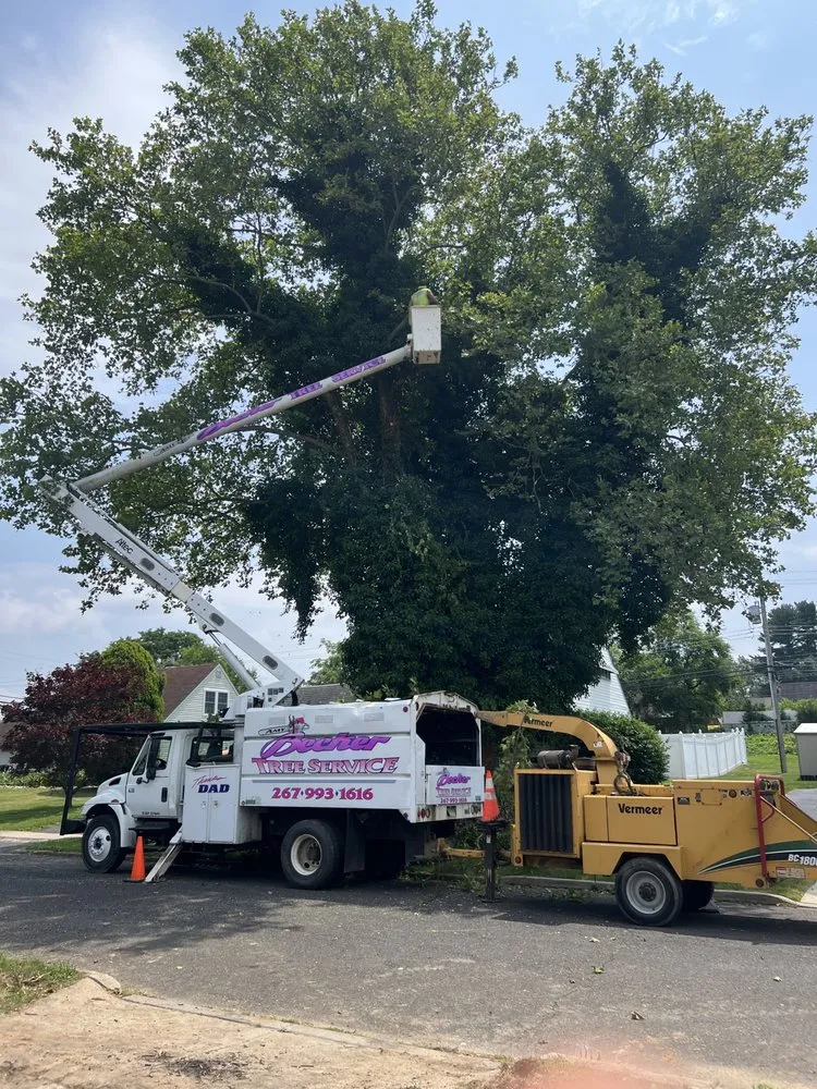 Top-rated residential landscaping experts serving Levittown, PA - Becker Tree Service
