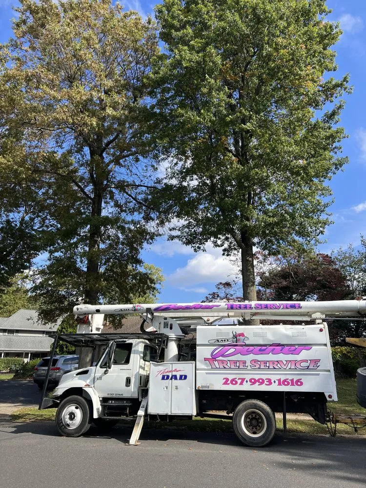 Expert yard maintenance near you in Levittown, PA by Becker Tree Service