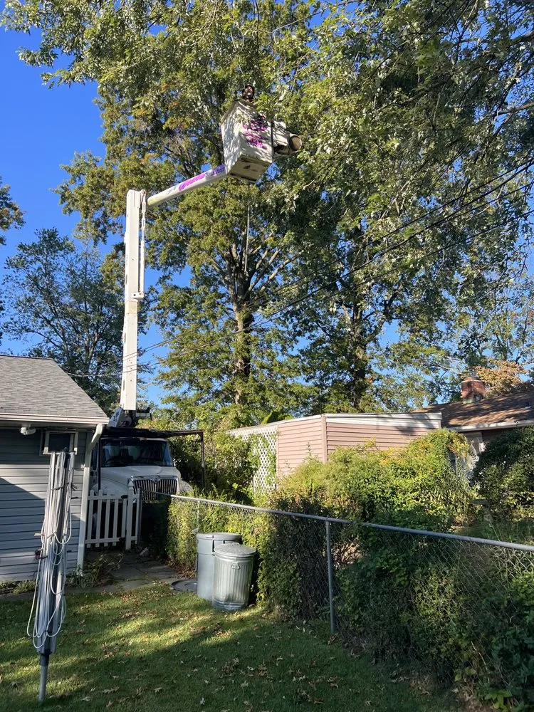 Expert yard maintenance for year-round maintenance across Levittown, PA - Becker Tree Service