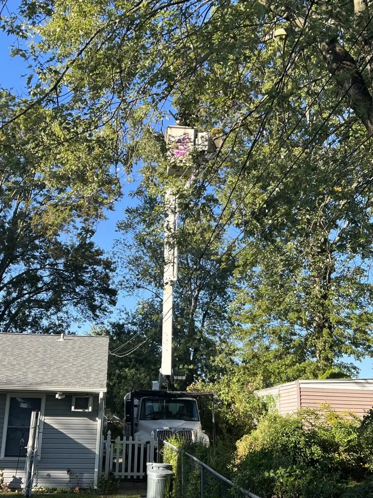 Trusted landscape installation experts serving Levittown, PA - Becker Tree Service