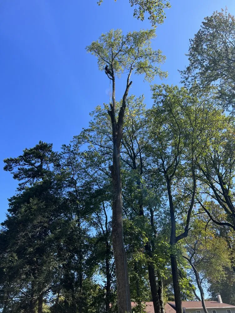 Local outdoor landscaping for beautiful yards across Levittown, PA - Becker Tree Service