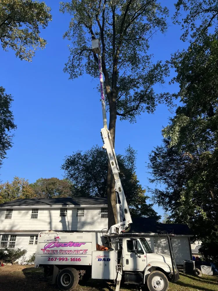 Trusted yard cleanup service in Levittown, PA - Becker Tree Service