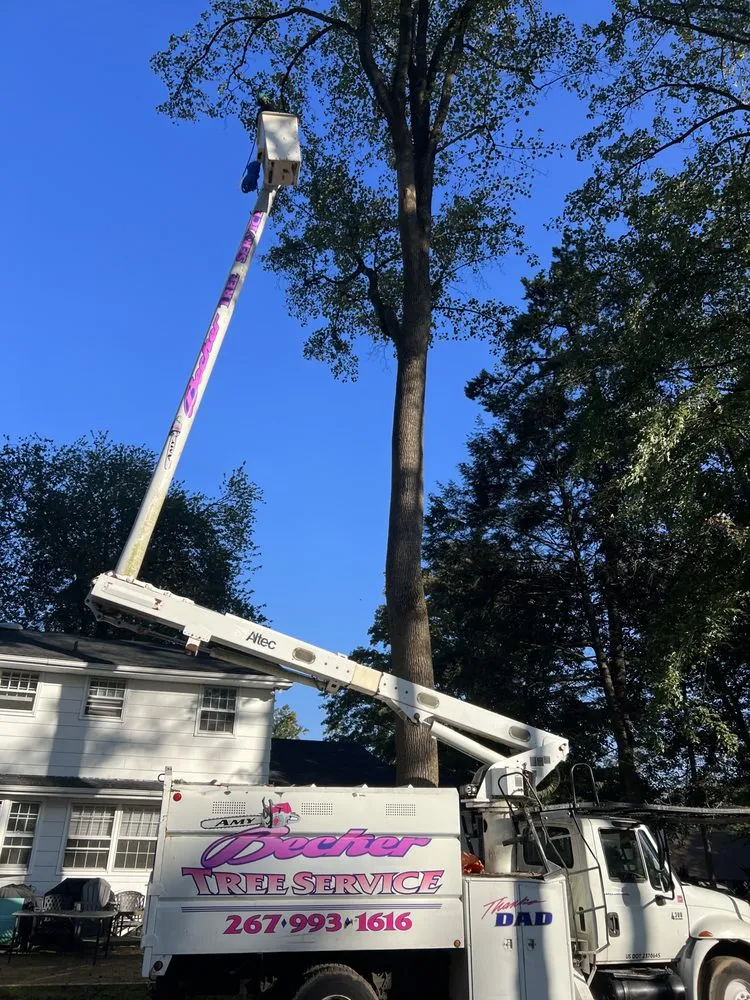 Expert landscape design in Levittown, PA by Becker Tree Service