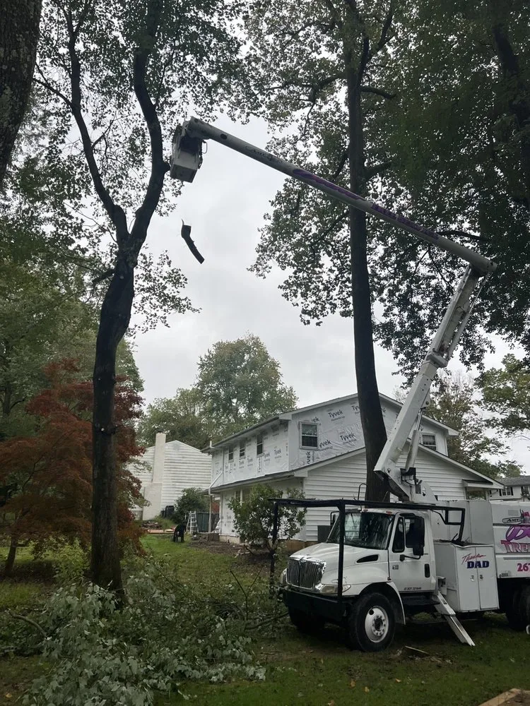 Professional lawn mowing service for homes in Levittown, PA by Becker Tree Service