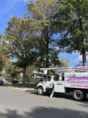 Becker Tree Service Logo