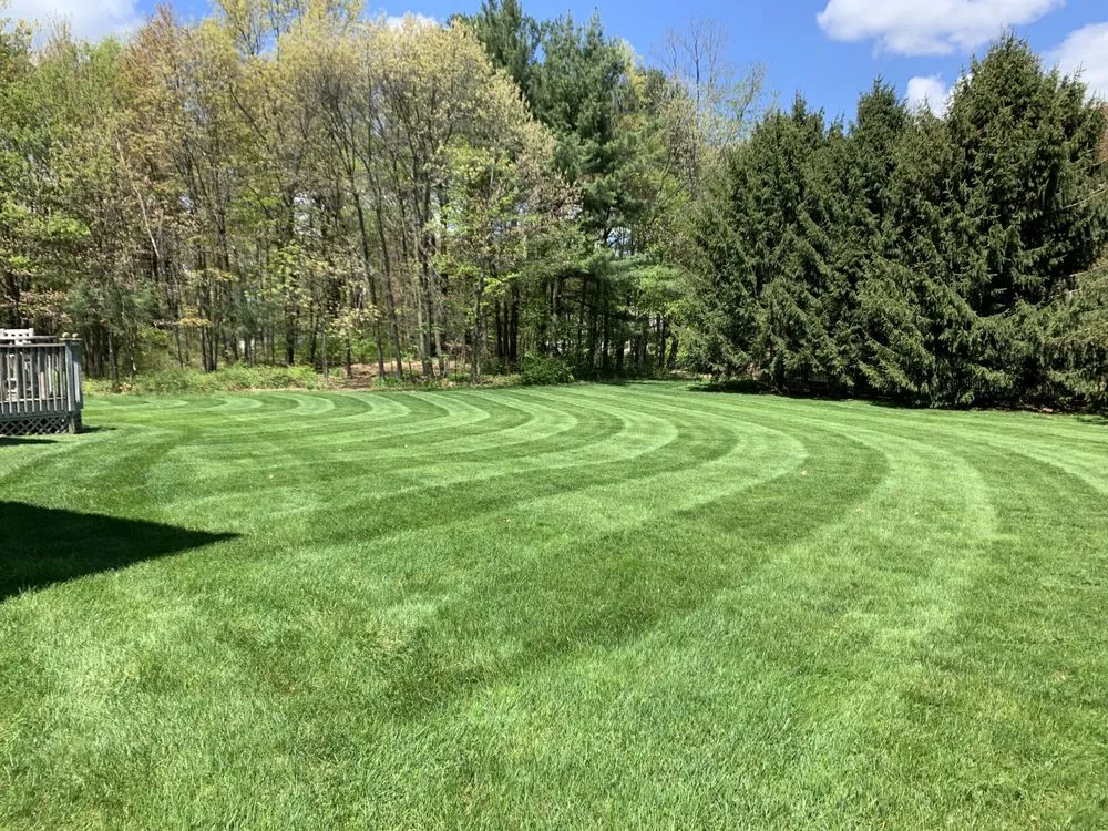 Reliable yard cleanup service for residential properties in Voorheesville, NY by Becker's Property Maintenance