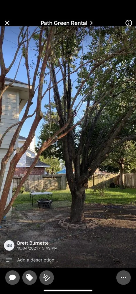 Reliable residential landscaping for outdoor upgrades across Magnolia, TX - Becker's Quality Tree Service & Landscaping