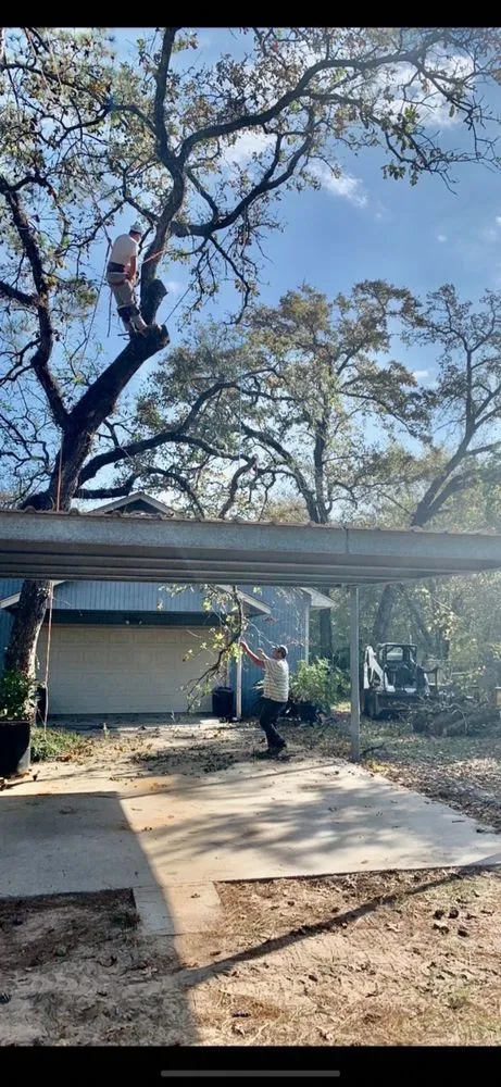 Reliable garden landscaping for homes in Magnolia, TX by Becker's Quality Tree Service & Landscaping