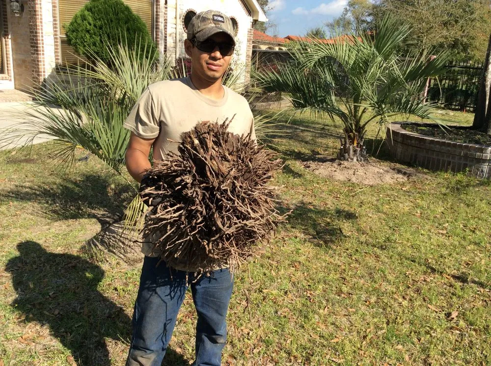 Affordable landscape design with custom design in Magnolia, TX by Becker's Quality Tree Service & Landscaping