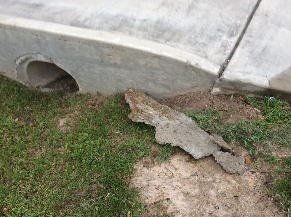 Top-rated landscape installation for year-round maintenance across Magnolia, TX - Becker's Quality Tree Service & Landscaping