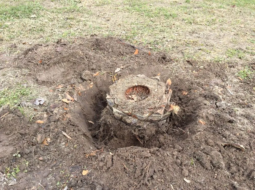 Reliable residential landscaping for residential properties across Magnolia, TX - Becker's Quality Tree Service & Landscaping