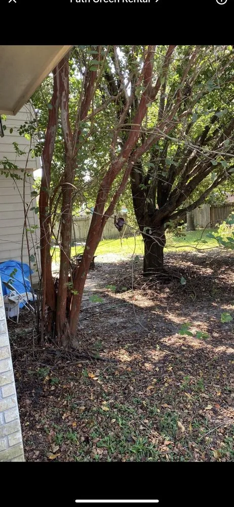 Professional lawn care service in Magnolia, TX - Becker's Quality Tree Service & Landscaping