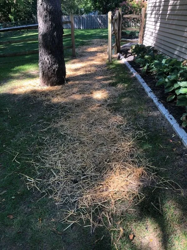 Local yard maintenance experts serving Perrysburg, OH - Beckford's Lawn & Landscape