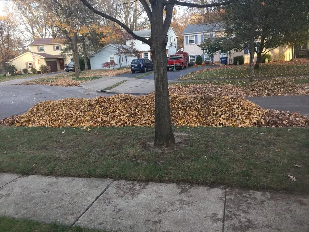 Trusted yard cleanup service for residential properties in Perrysburg, OH by Beckford's Lawn & Landscape