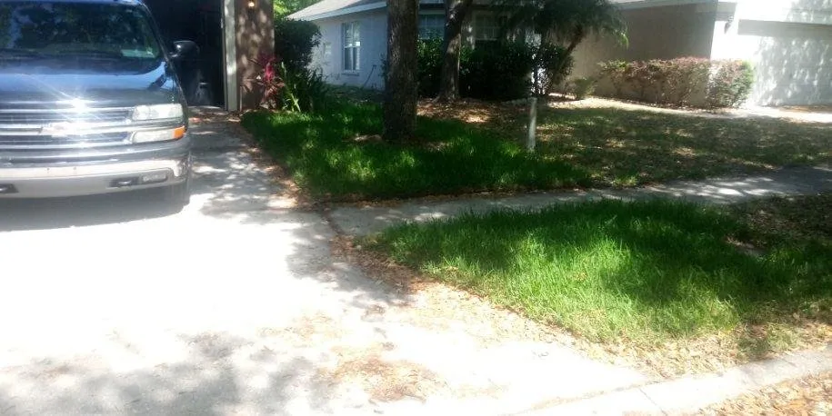 Affordable landscaping services in Tampa, FL - Beckford’s Yard & More