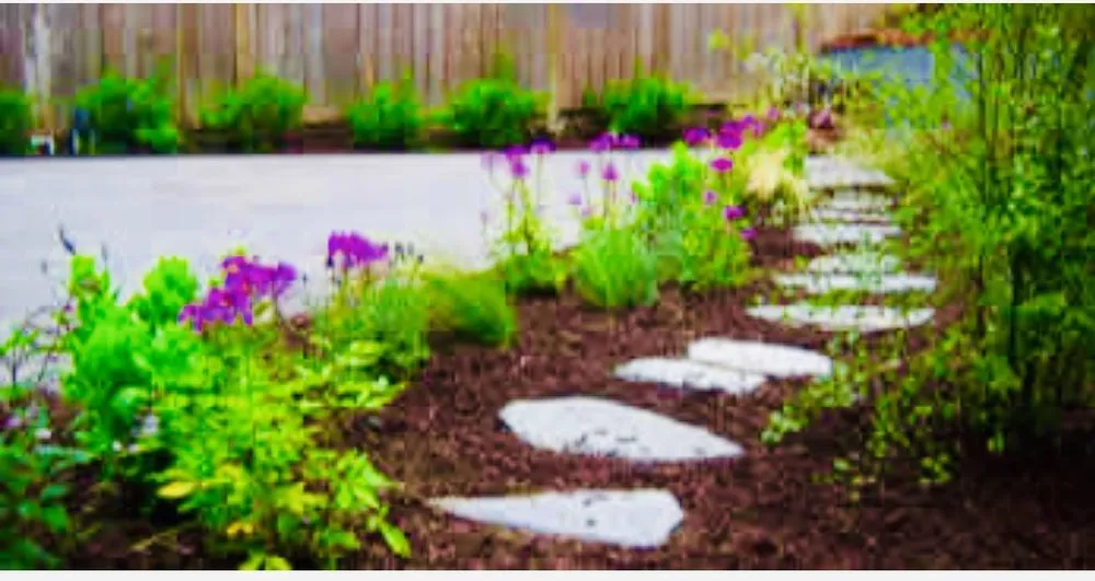 Reliable garden landscaping near you in Tampa, FL by Beckford’s Yard & More