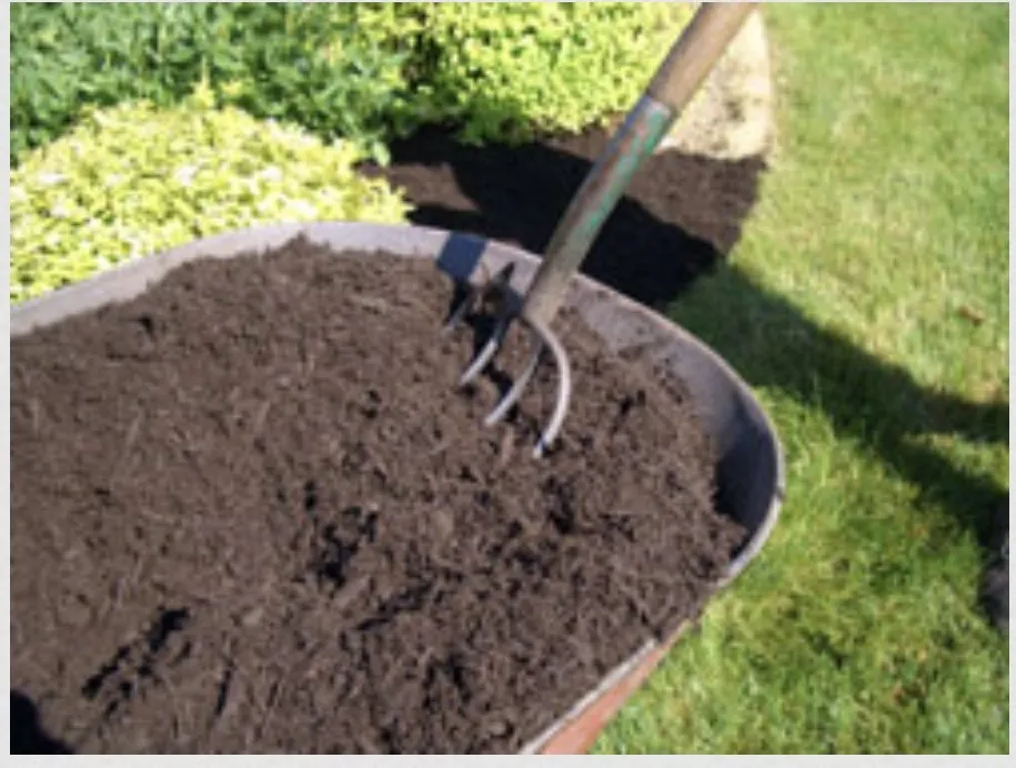 Trusted outdoor landscaping for beautiful yards across Tampa, FL - Beckford’s Yard & More