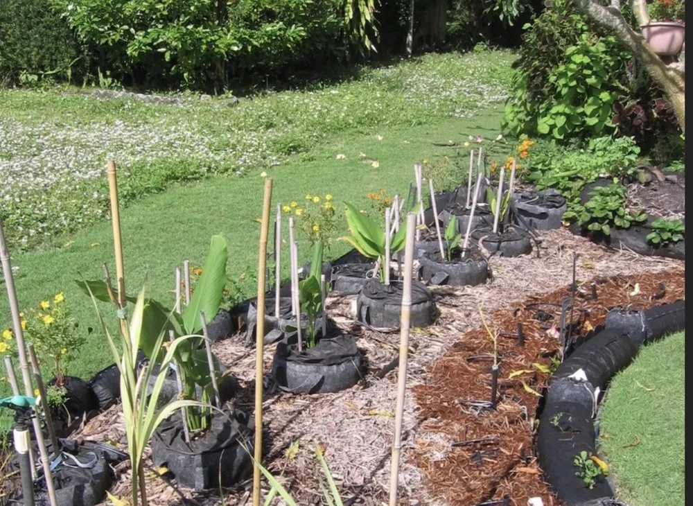 Expert yard maintenance in Tampa, FL by Beckford’s Yard & More