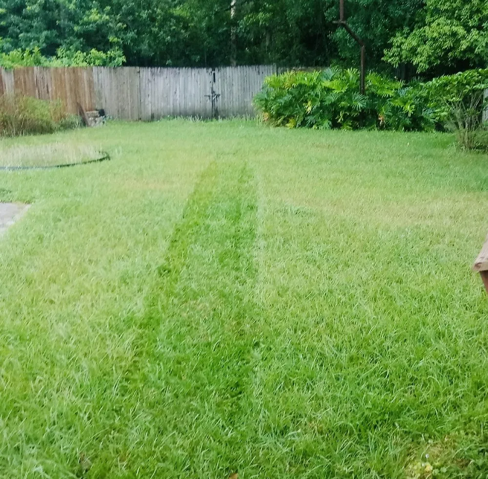 Trusted landscape installation experts serving Tampa, FL - Beckford’s Yard & More